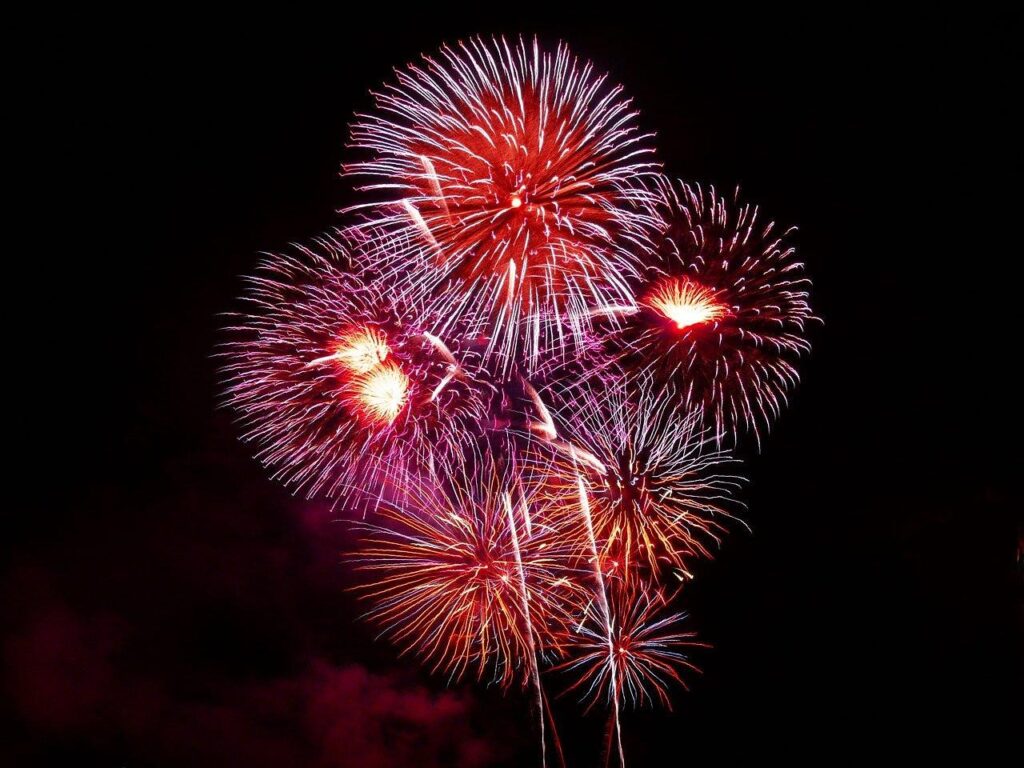 fireworks, show, pyrotechnics, celebration, fireworks show, bright, explosive, celebrate, july 4th, night time, night sky, new year's eve, fireworks, fireworks, fireworks, fireworks, fireworks